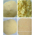 B Grade Dehydrated Garlic Granule